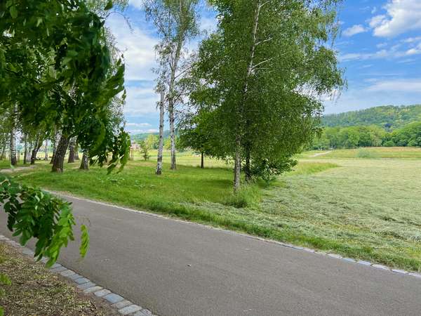 Elberadweg, Blick zur Fähre